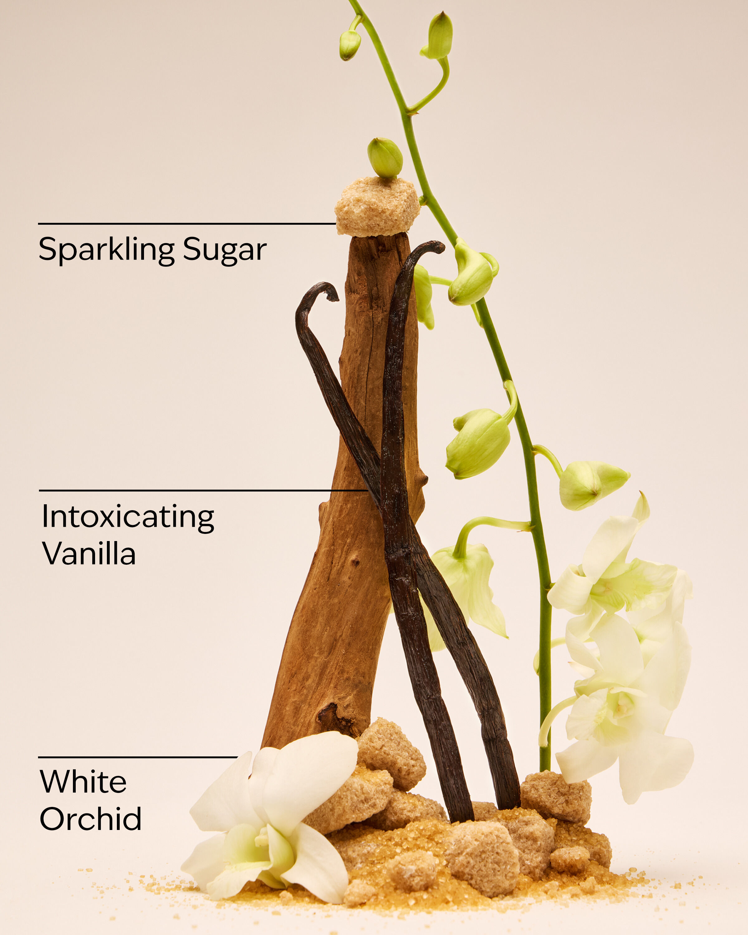 کرم بدن بس اند بادی ورکز مدل Warm Vanilla Sugar